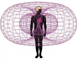 campo-energetico-del-cuore-Percorso.jpg-dell'Amore